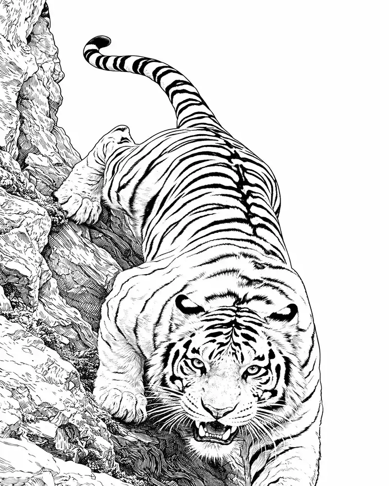 Tigre Realista para Colorear 4
