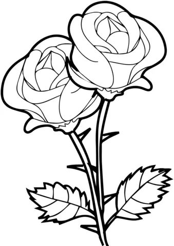 Desenhos de Rosas Para Colorir 10