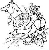 Desenhos de Rosas Para Colorir 3