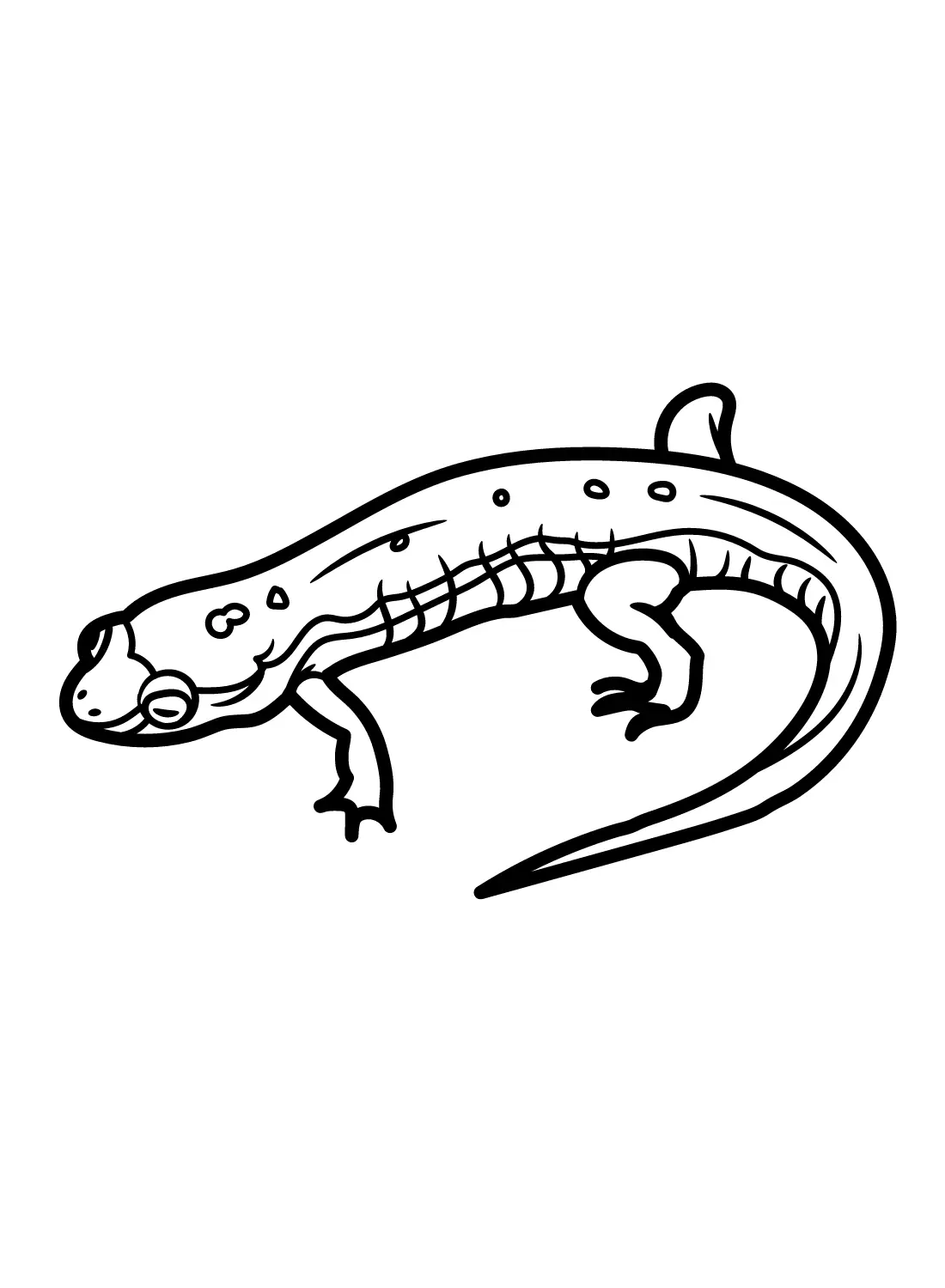 Salamander Coloring Pages 27