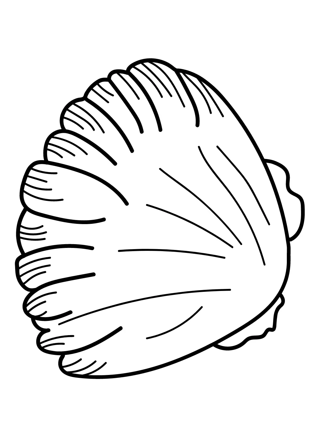 Jakobsmuscheln Ausmalbilder 23