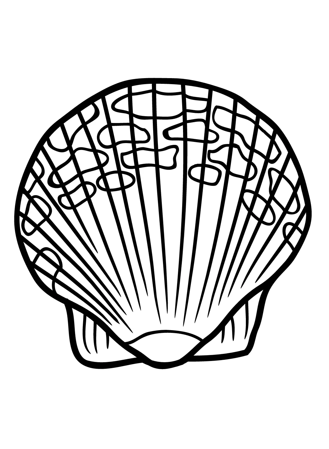 Jakobsmuscheln Ausmalbilder 26