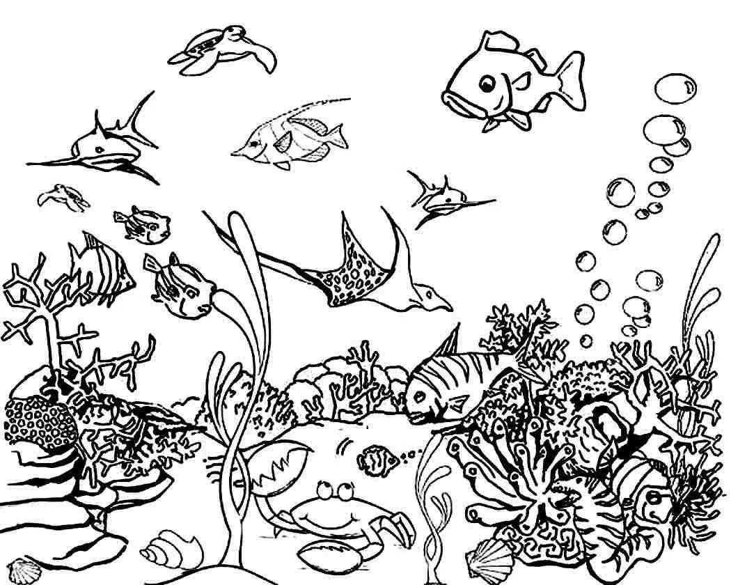 Desenhos de Mares E Oceanos Para Colorir 34