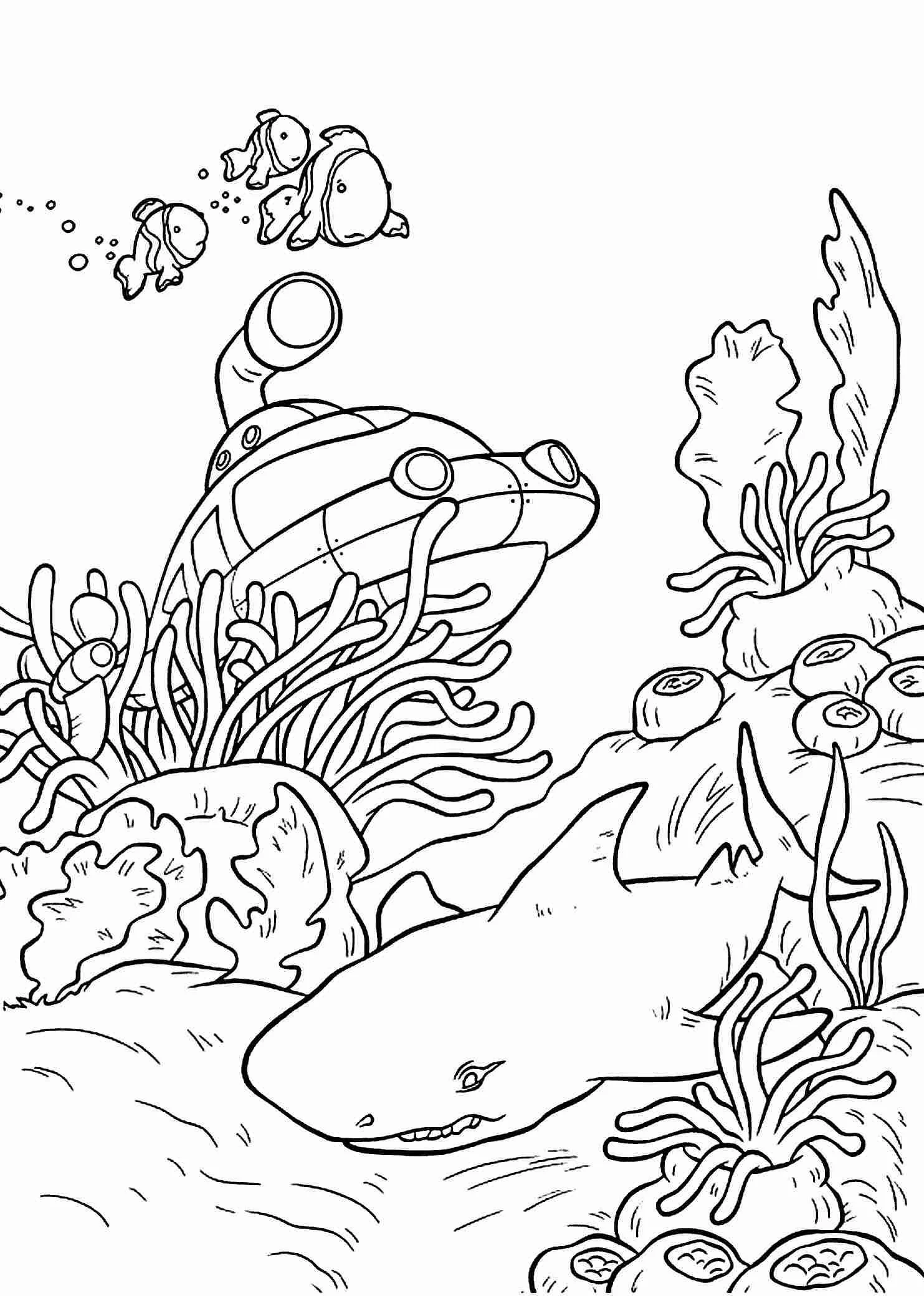 Desenhos de Mares E Oceanos Para Colorir 38