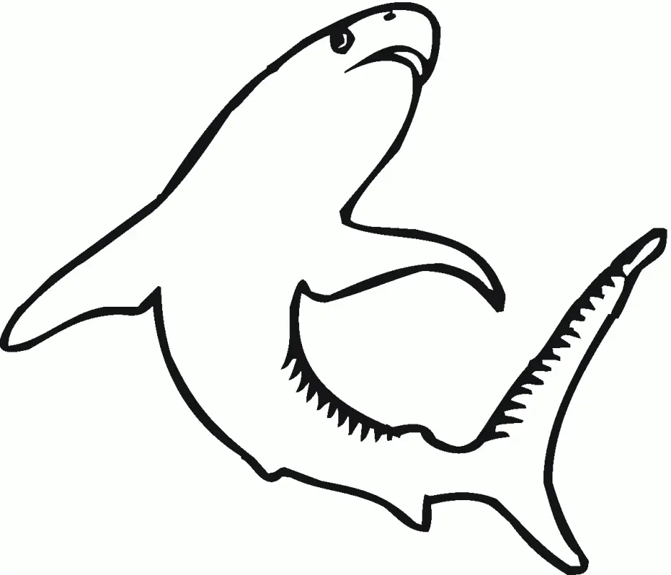 Shark Coloring Pages 47