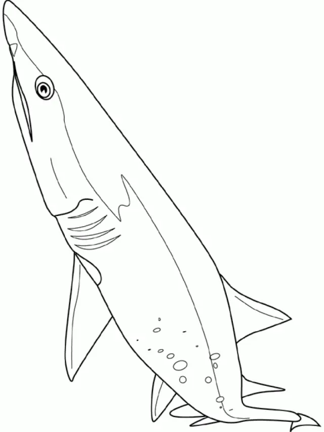 Shark Coloring Pages 75