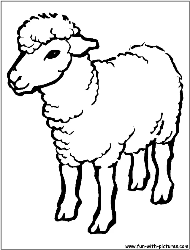 Schaf Ausmalbilder 52