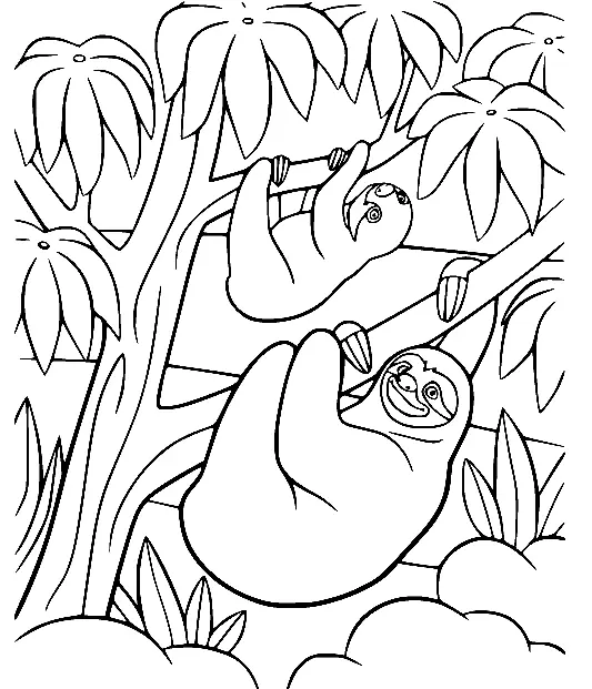 Perezosos Para Colorear 25