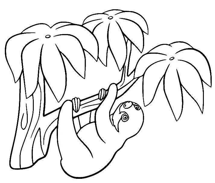 Perezosos Para Colorear 29