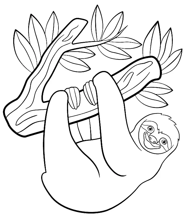 Perezosos Para Colorear 32