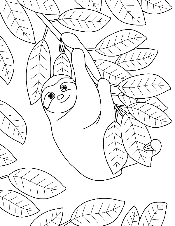 Perezosos Para Colorear 41