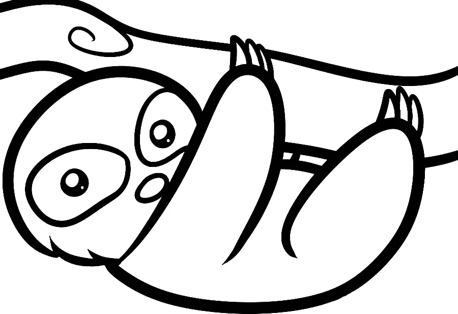 Perezosos Para Colorear 42