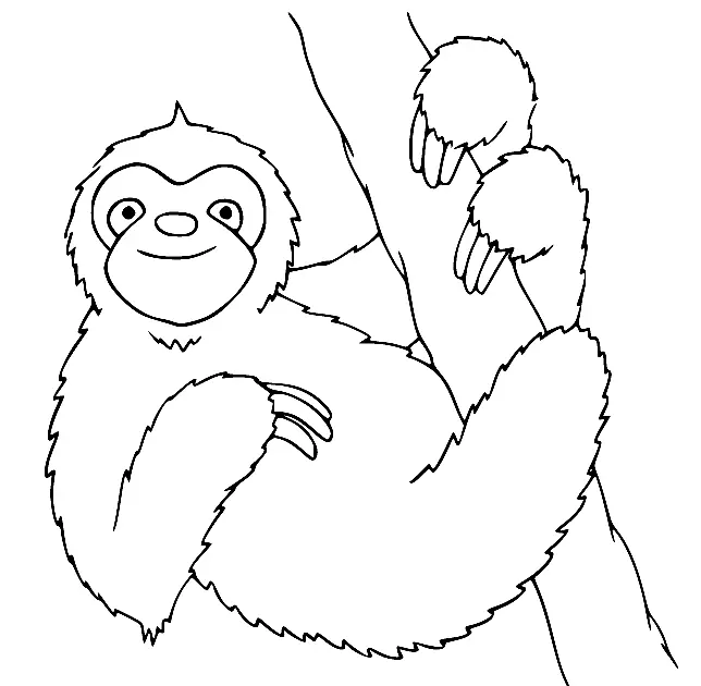 Perezosos Para Colorear 45