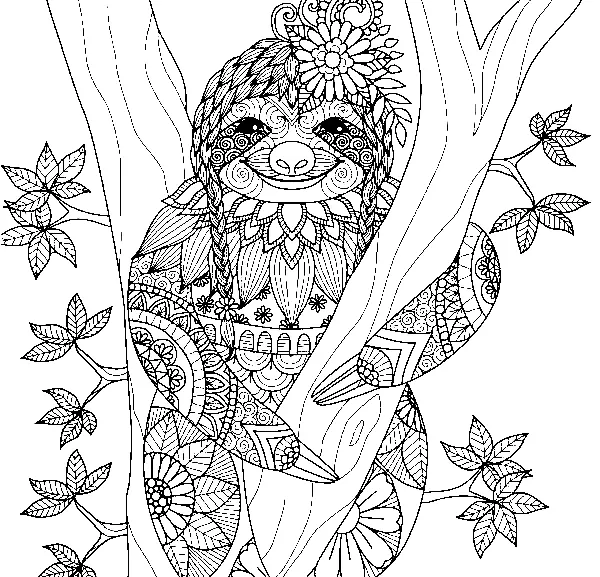 Perezosos Para Colorear 9
