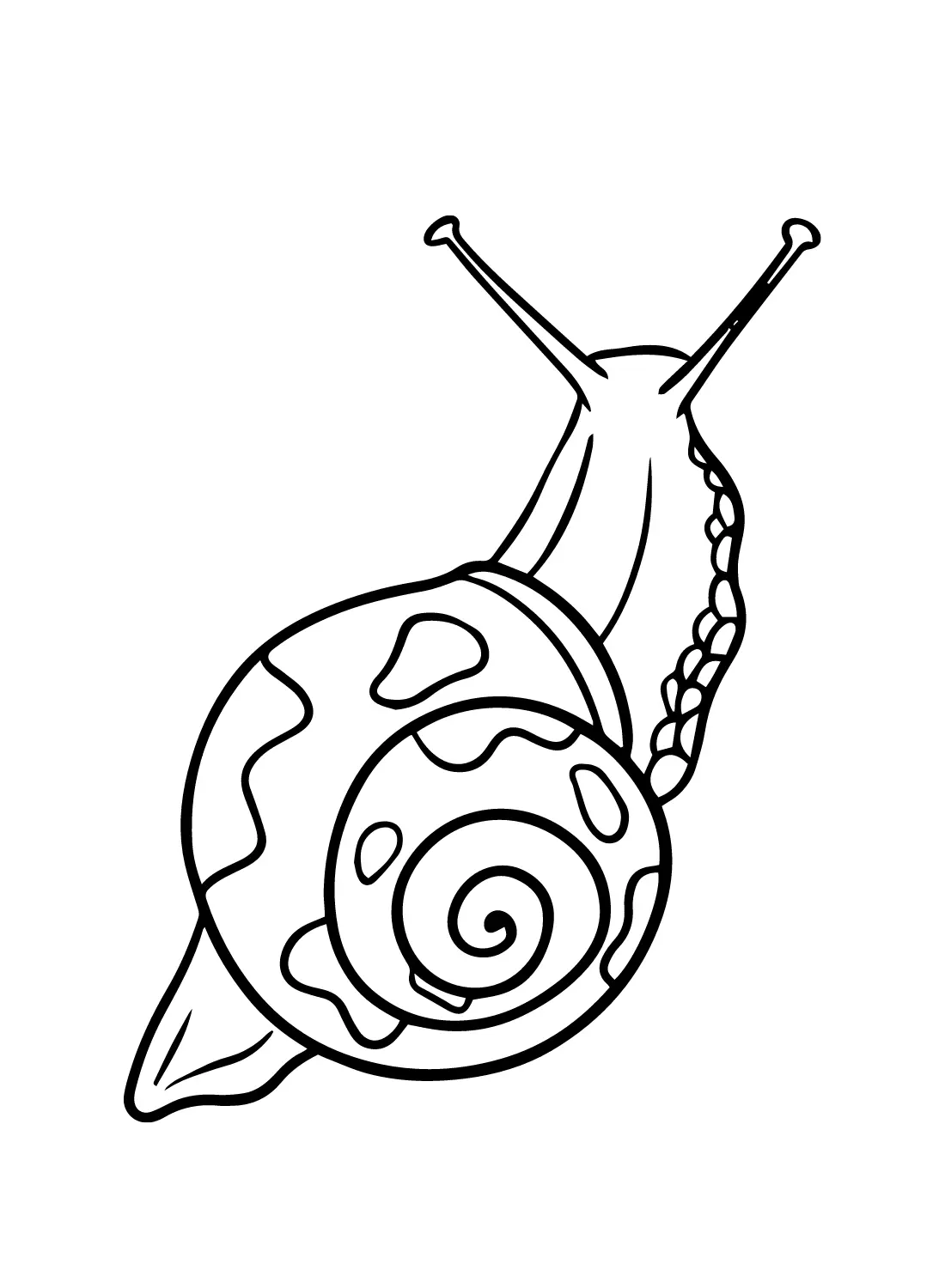 Snail Coloring Pages 24