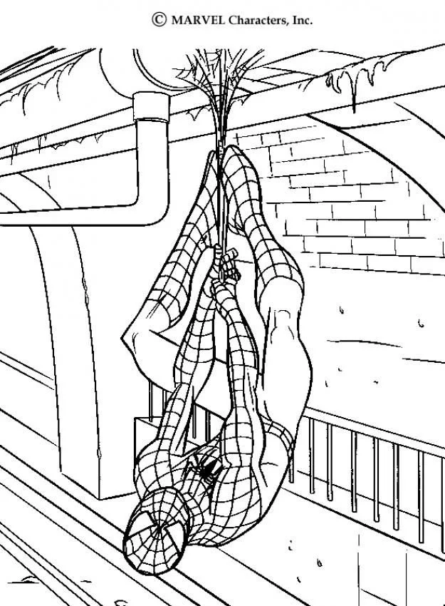 Spiderman Coloring Pages 29