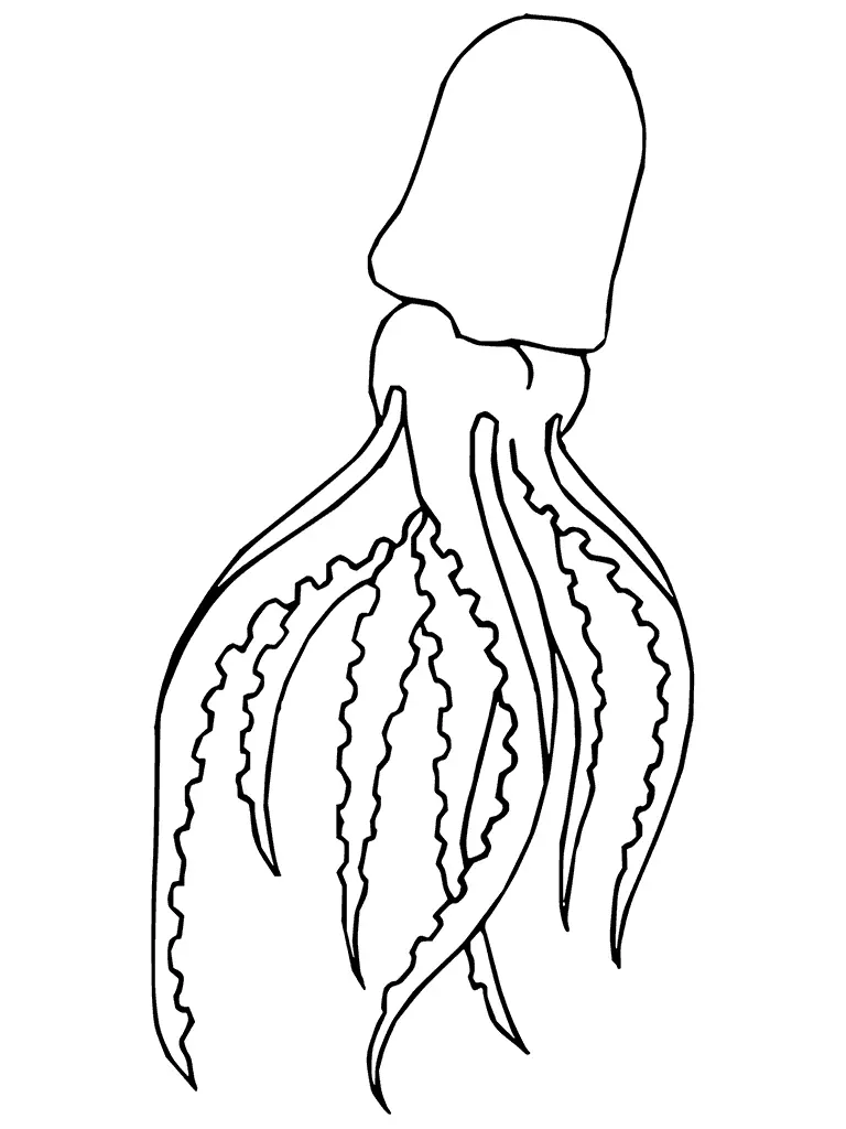 Squid Coloring Pages 12