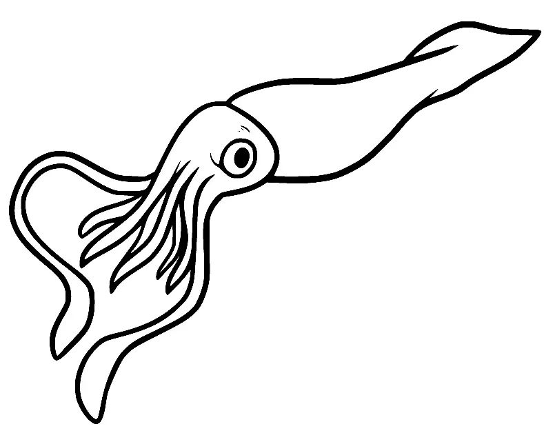 Squid Coloring Pages 15