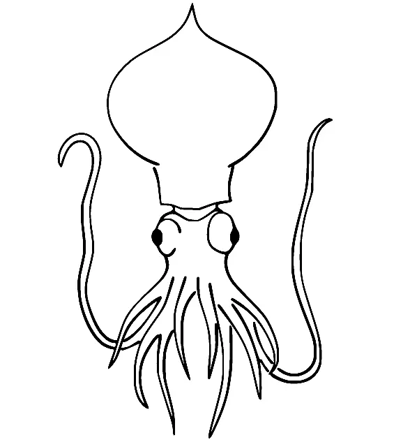 Squid Coloring Pages 20