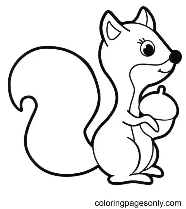 Eichhörnchen Ausmalbilder 64