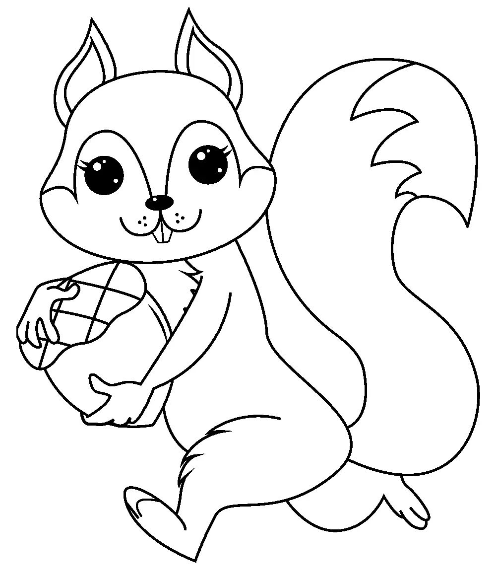 Eichhörnchen Ausmalbilder 80