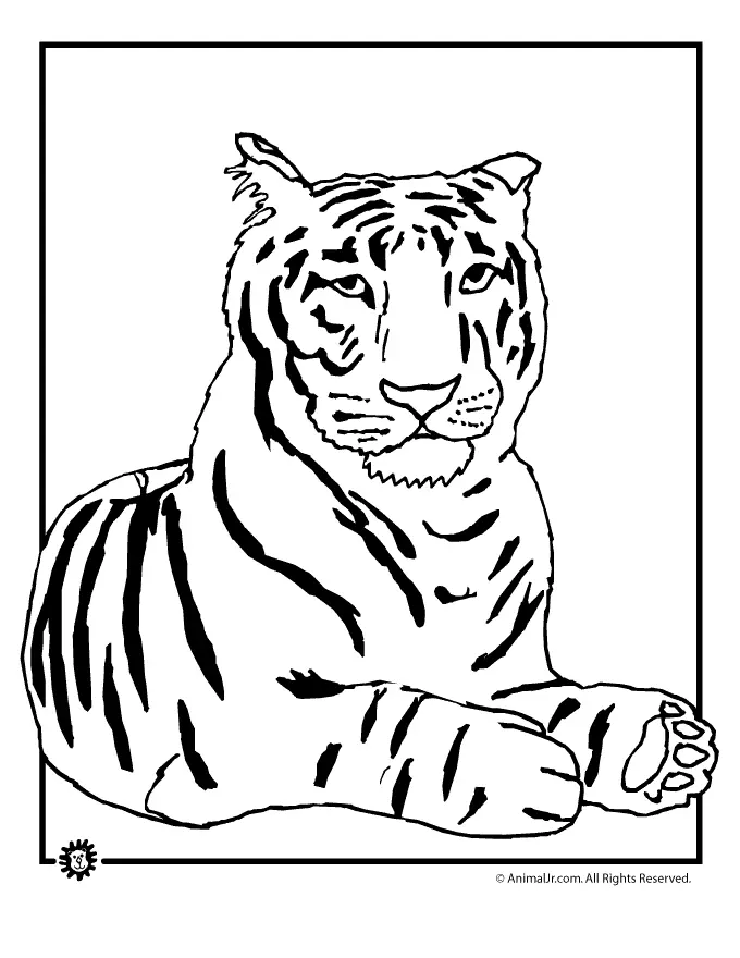 Tiger Ausmalbilder 14