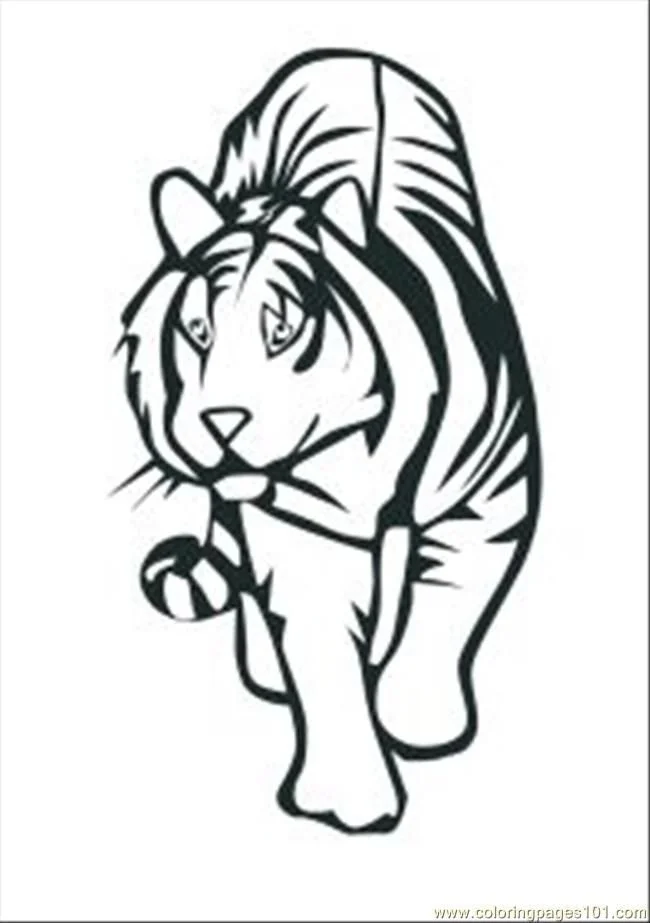 Tiger Ausmalbilder 163