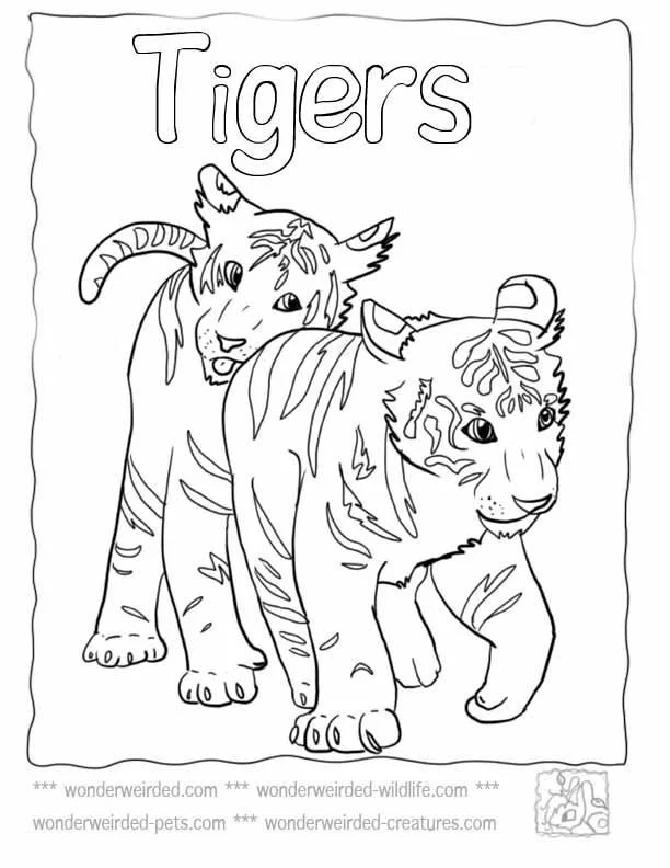 Tiger Ausmalbilder 24
