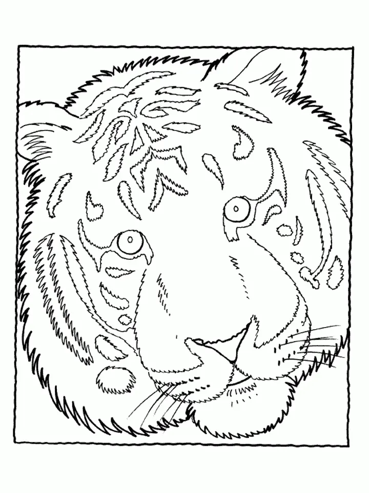 Tiger Ausmalbilder 76