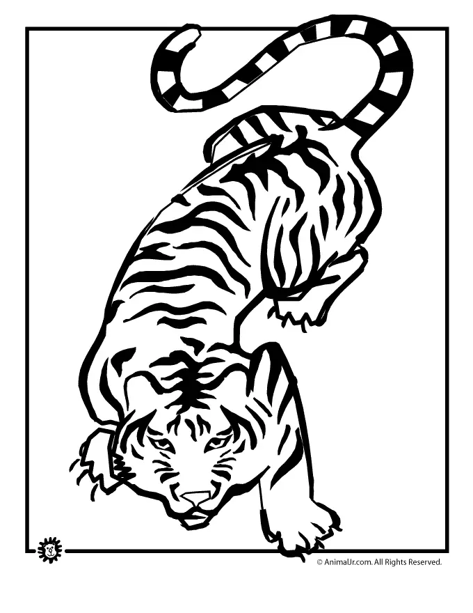 Tiger Ausmalbilder 80