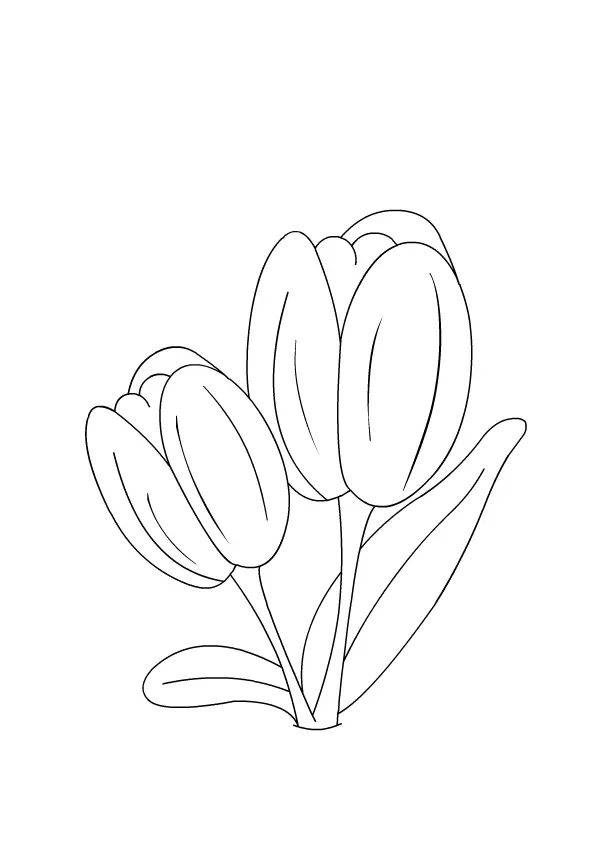 Tulpen Ausmalbilder 14