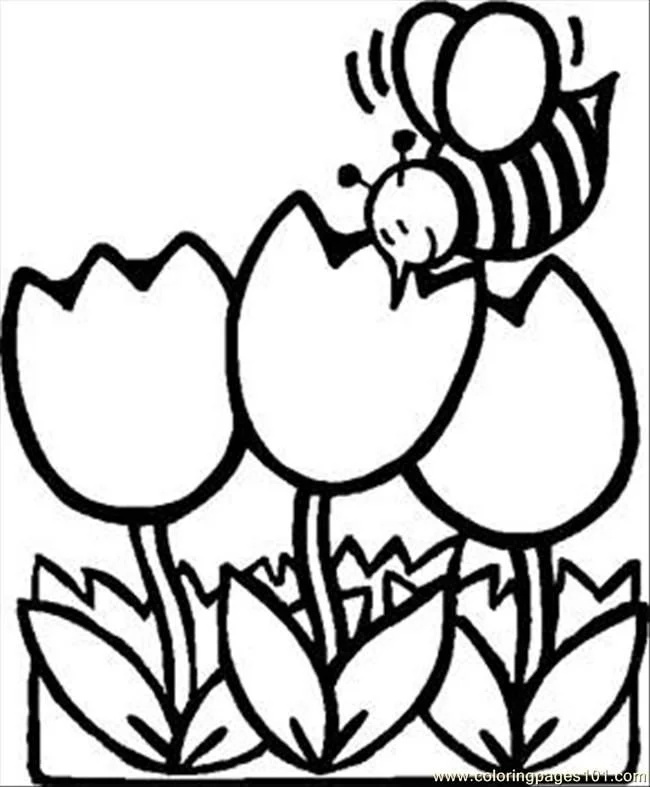 Tulpen Ausmalbilder 22