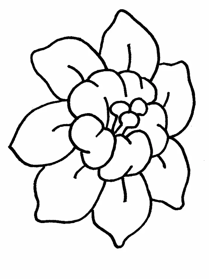 Tulpen Ausmalbilder 25