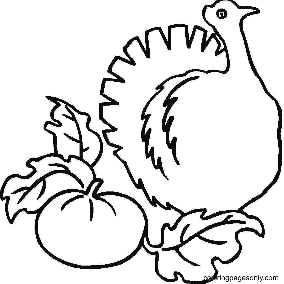 Pavo Para Colorear 26