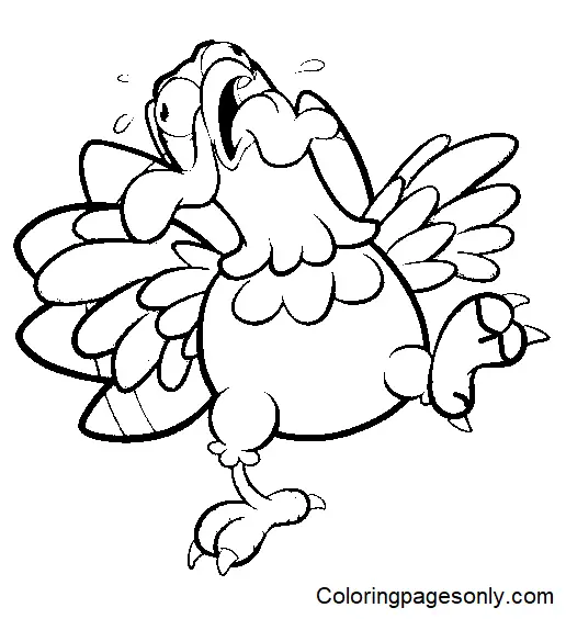 Pavo Para Colorear 59