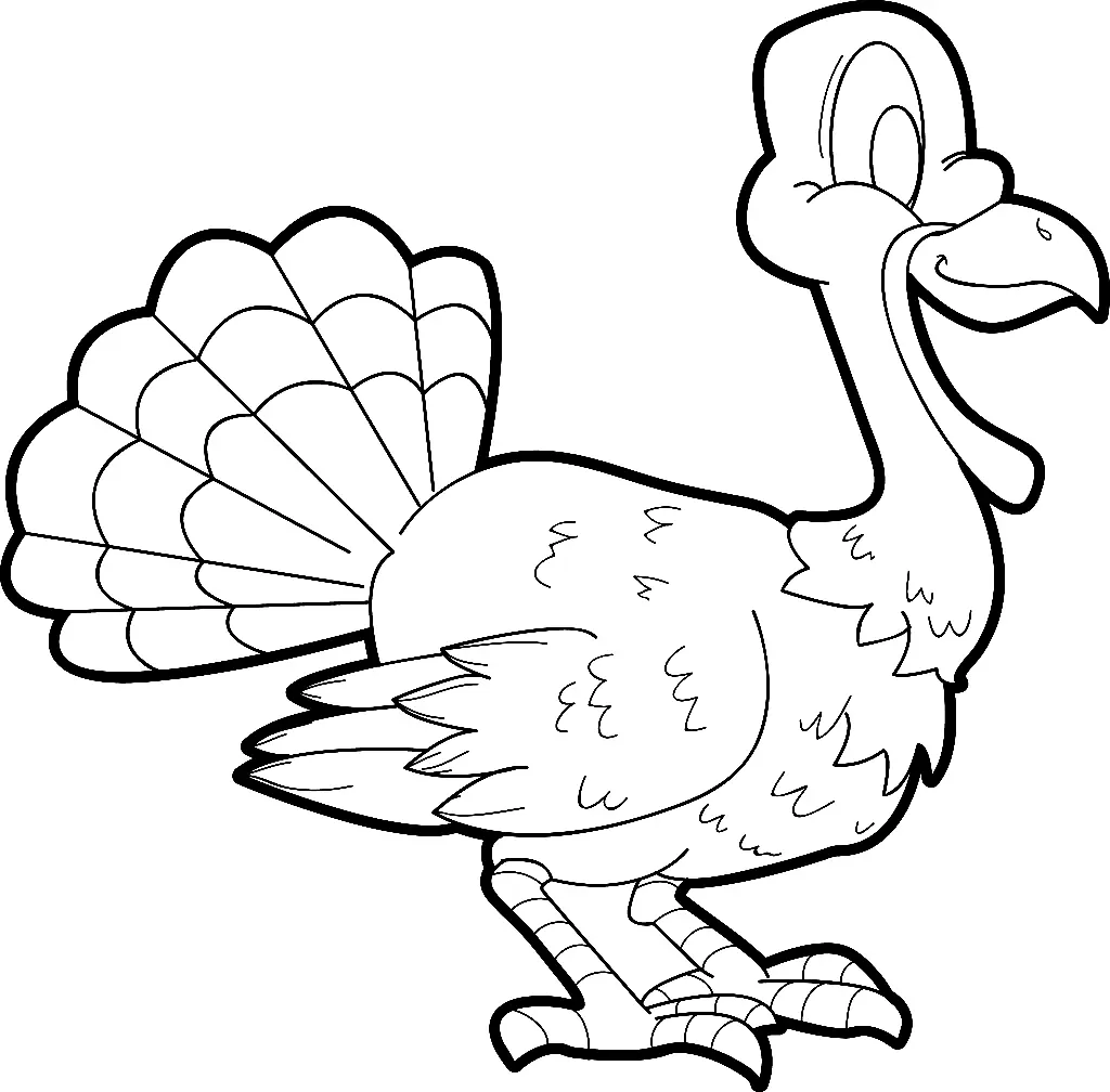 Pavo Para Colorear 82