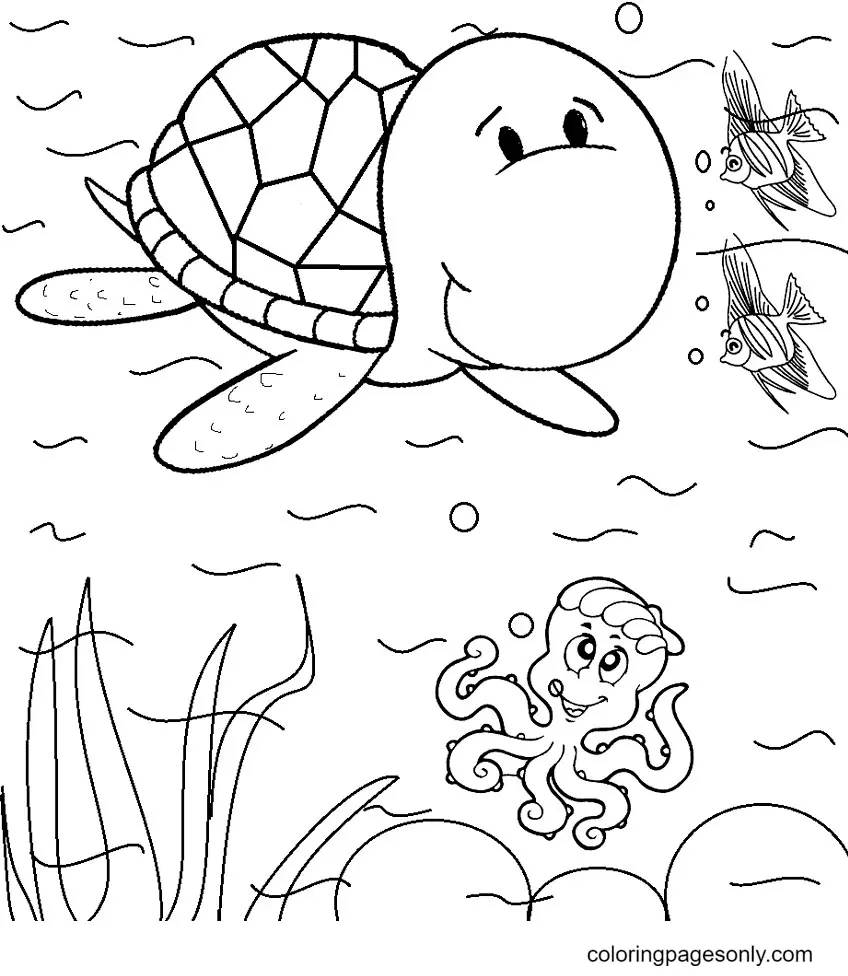 Schildkröte Ausmalbilder 36