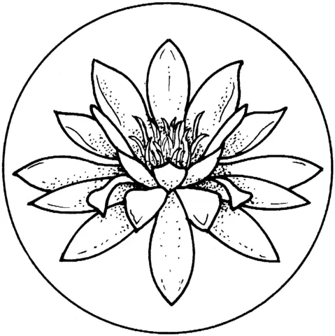 Water lily Coloring Pages 32