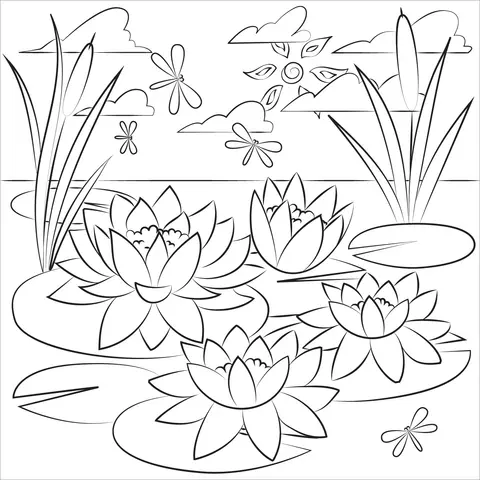 Water lily Coloring Pages 6