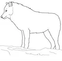 Wolf Ausmalbilder 112