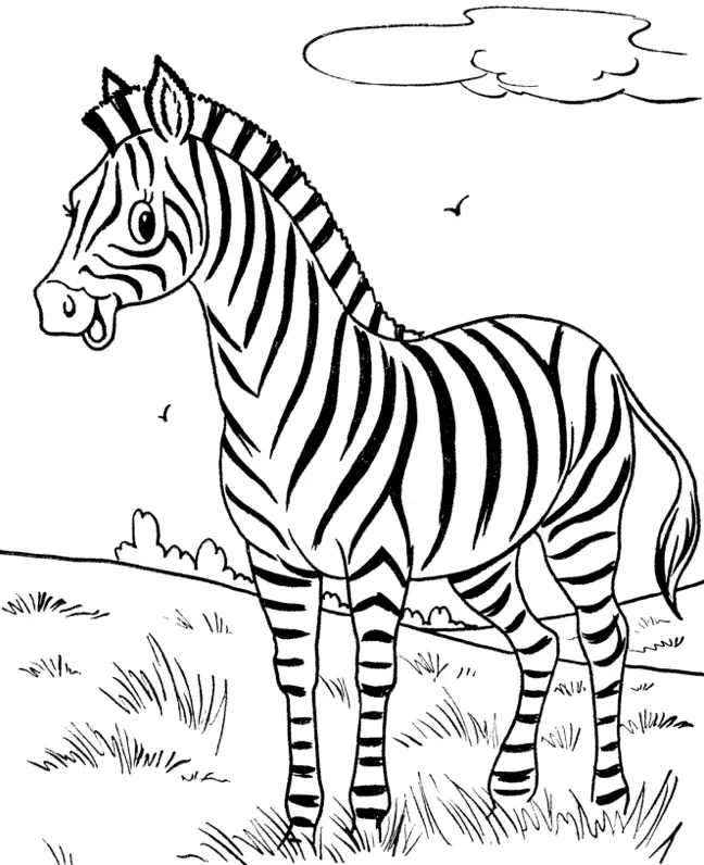 Ausmalbilder Zebra 8